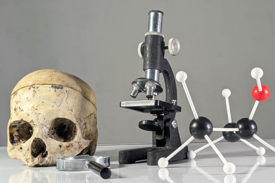 Summer Camp: 2-day Forensics